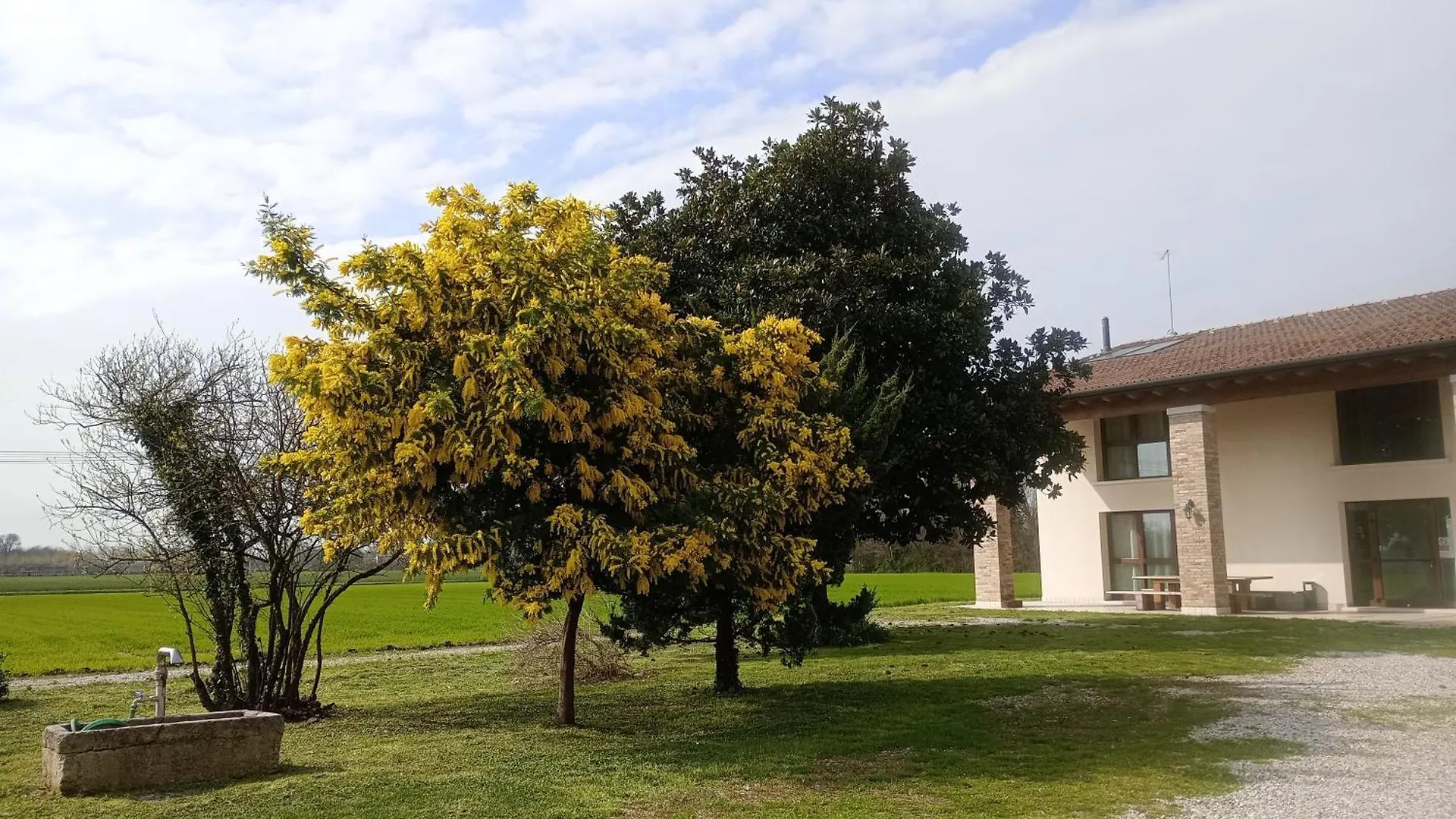 Διαμέρισμα Agriturismo Trabucco Casale sul Sile